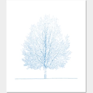 Winter Tree Charcoal Print Gift Posters and Art